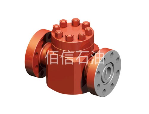 Check Valve